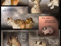 tlk_the_outcast_6_by_savu0211-d2z9pu6.jpg